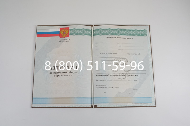 Аттестат за 9 класс 2011-2013 годов в Пушкино Аттестат за 9 класс 2011-2013 годов в Пушкино