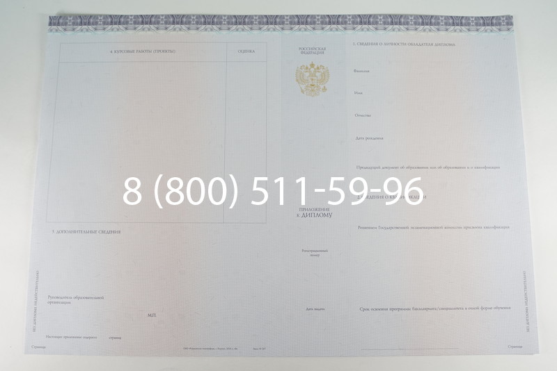 Диплом бакалавра (Киржач) 2014-2024 года в Пушкино Диплом бакалавра (Киржач) 2014-2024 года в Пушкино