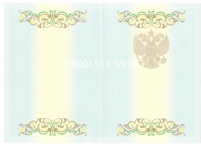 Купить Диплом бакалавра 2012-2013 годов в Пушкино
