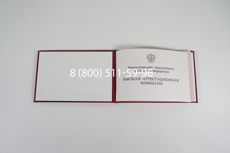 Диплом доктора наук 1995-2006 года в Пушкино Диплом доктора наук 1995-2006 года в Пушкино