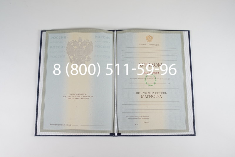 Диплом магистра 2003-2009 годов в Пушкино