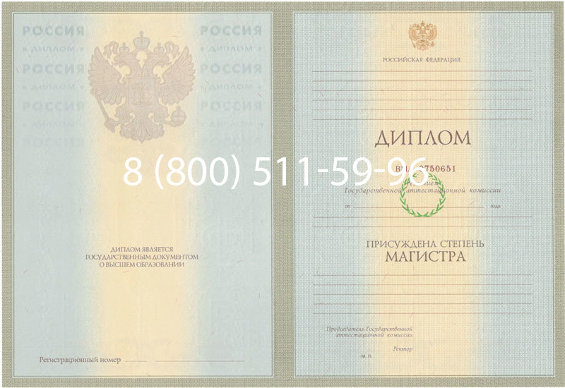 Купить Диплом магистра 2003-2009 годов в Пушкино