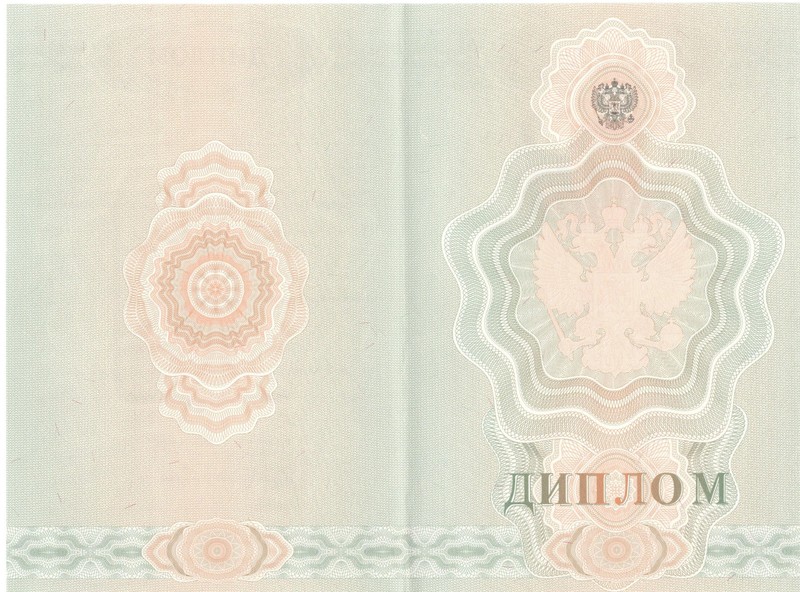Купить Диплом о начальном образовании 2007-2009 годов в Пушкино Купить Диплом о начальном образовании 2007-2009 годов в Пушкино