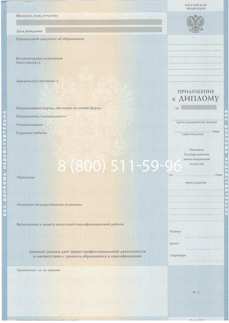 Купить Диплом о высшем образовании 2003-2009 годов в Пушкино Купить Диплом о высшем образовании 2003-2009 годов в Пушкино
