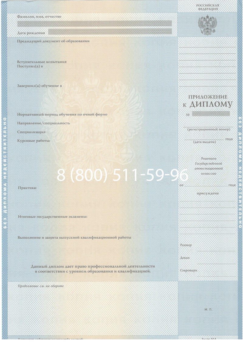 Купить Диплом специалиста 2003-2009 годов в Пушкино Купить Диплом специалиста 2003-2009 годов в Пушкино