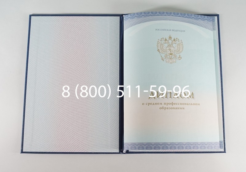 Заказать Диплом колледжа (Спецбланк) 2014-2024 года в Пушкино Заказать Диплом колледжа (Спецбланк) 2014-2024 года в Пушкино