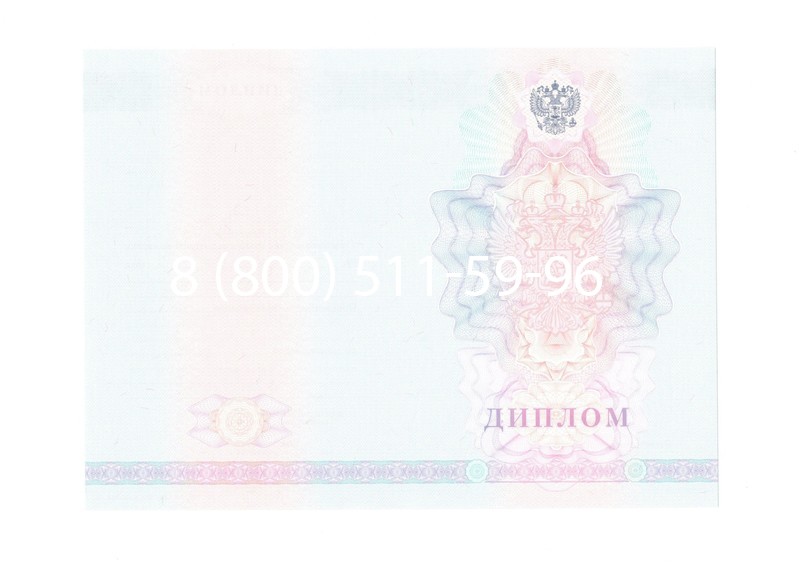 Заказать Диплом техникума 2007-2010 годов в Пушкино Заказать Диплом техникума 2007-2010 годов в Пушкино