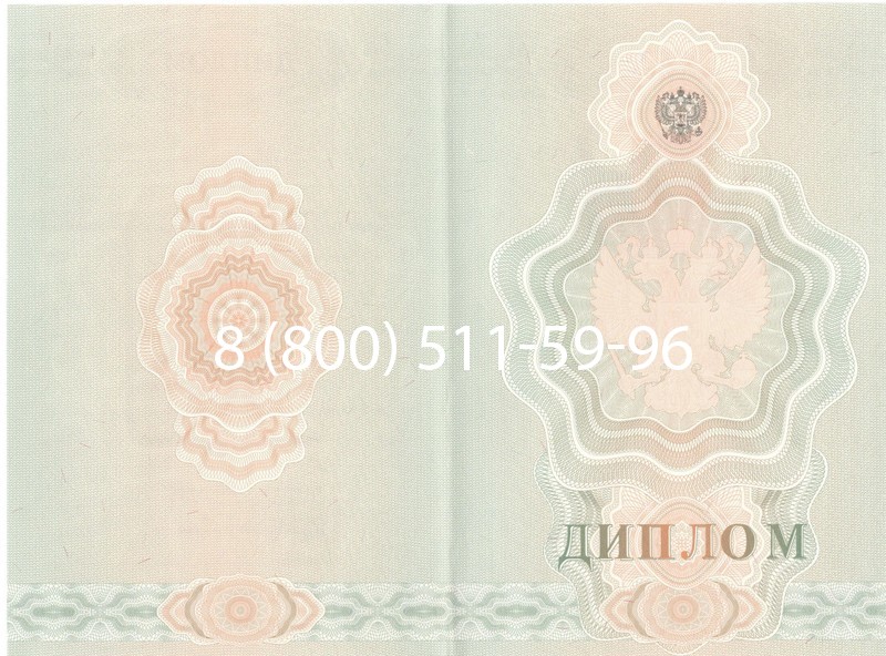 Купить Диплом училища 2007-2009 годов в Пушкино Купить Диплом училища 2007-2009 годов в Пушкино